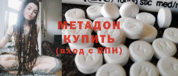 прущие грибы Медногорск