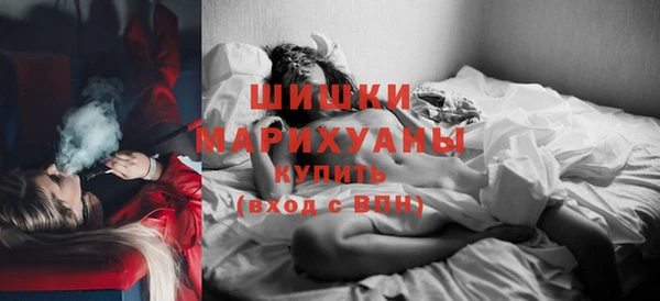 прущие грибы Медногорск
