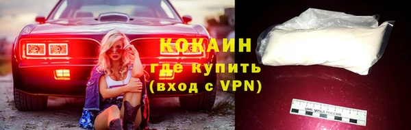 стаф Магас