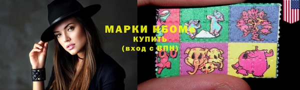 прущие грибы Медногорск