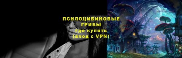 дживик Мегион