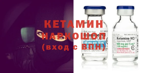 прущие грибы Медногорск