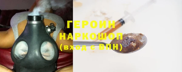 прущие грибы Медногорск