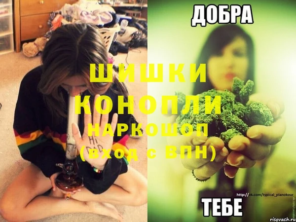 Альфа ПВП Медвежьегорск