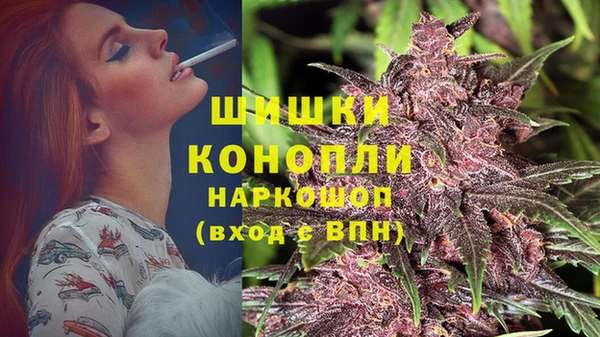 прущие грибы Медногорск