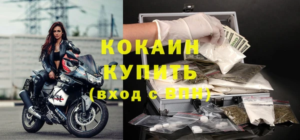 прущие грибы Медногорск