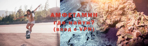 прущие грибы Медногорск