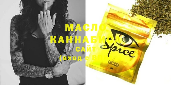 дживик Мегион