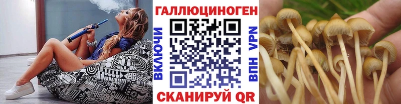 Псилоцибиновые грибы Cubensis  магазин продажи   Армавир 